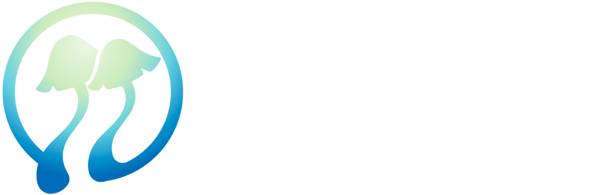 蘑幻森林-打造云南本地专属门户网站！
